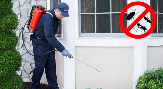 Mamak Kene İlaçlama böcek ilaçlama ve haşere kontrolü — ilaclama-tr.com